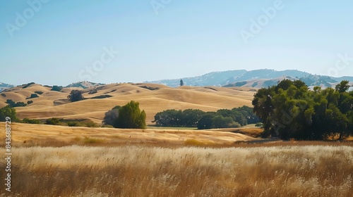 Landscape at Tracy California United States : Generative AI photo