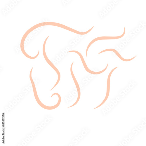
parasitic worms