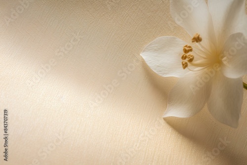 white flower on a wooden background made by midjourney
