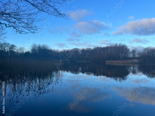 lake in the morning