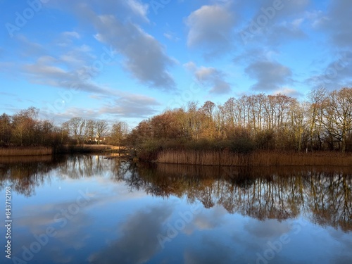 autumn trees reflected in water