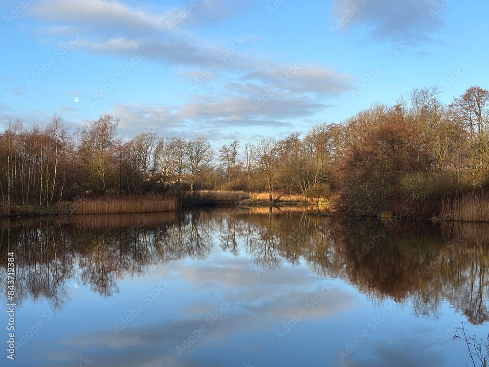 autumn trees reflected in water autumn trees reflected in water