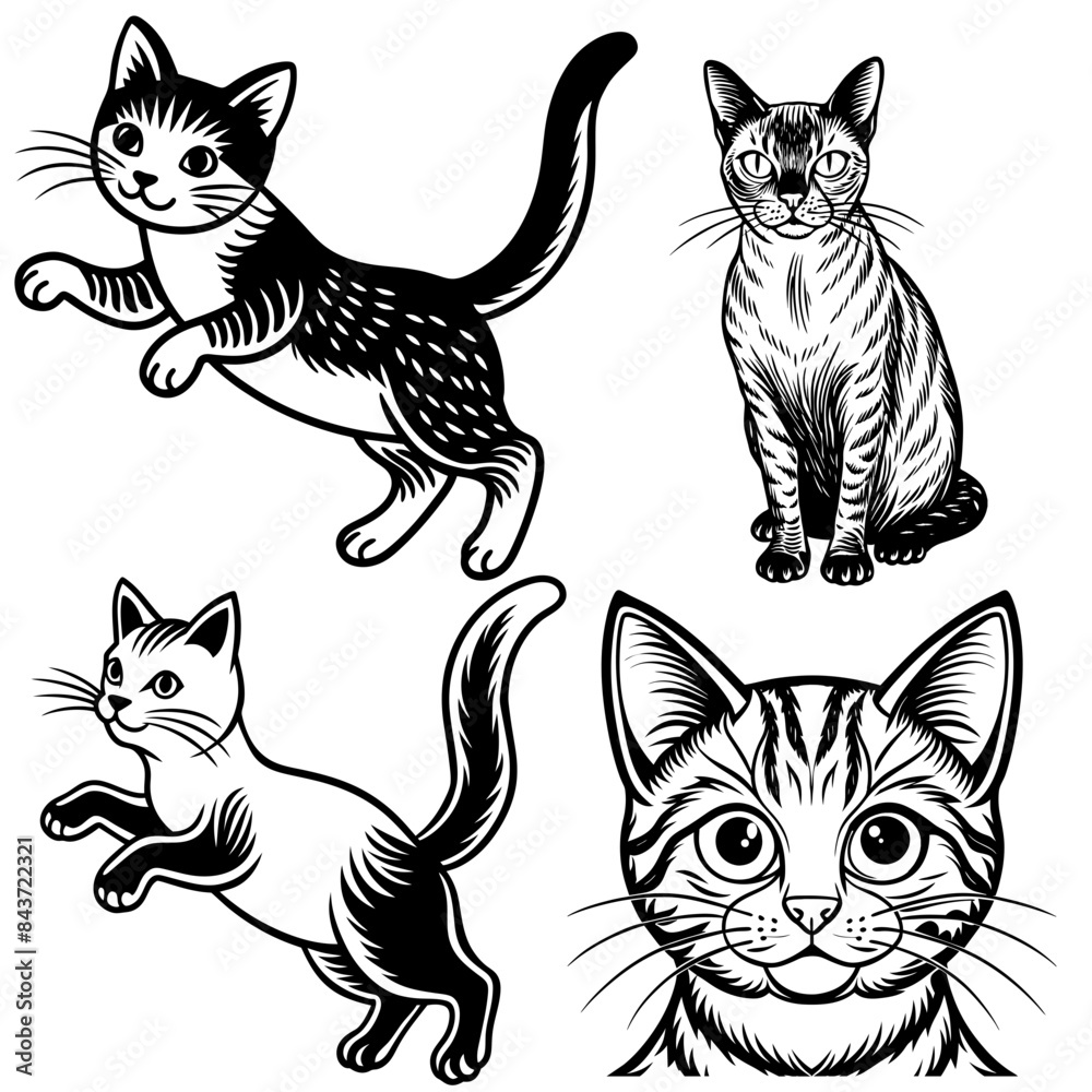Fototapeta premium Cat black vector silhouette illustration 