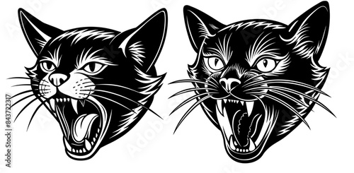 Bombay cat screams vector