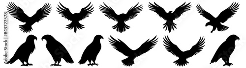 Eagle silhouette set vector design big pack of illustration and icon © Catnip