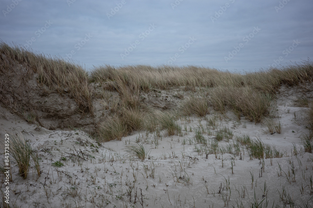 landscape of dunes on the North Sea in Germany landscape of dunes on the North Sea in Germany