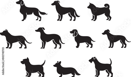 犬のシルエット 10種セット 01 アイリッシュセッター/アイリッシュウルフハウンド/秋田犬/アメリカンピットブルテリア/イタリアングレーハウンド/イングリッシュコッカースパニエル/ ウィペット/ウエストハイランドホワイトテリア/ウェルシュコーギー/エアデールテリア/オーストラリアンケルピー/甲斐犬/キャバリア/グレートデン