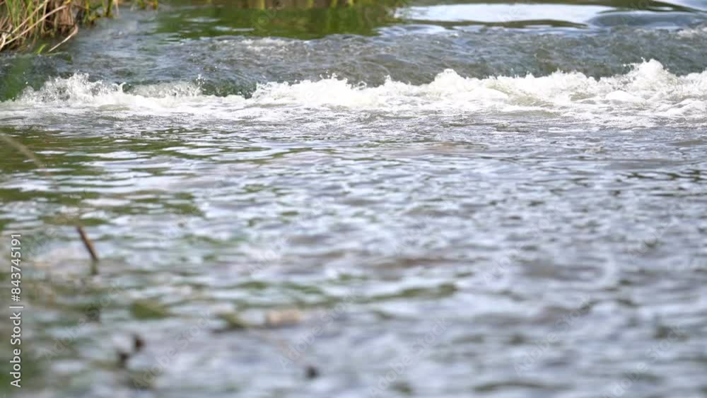 detail of the bed of a river as it descends next to the riverbank detail of the bed of a river as it descends next to the riverbank