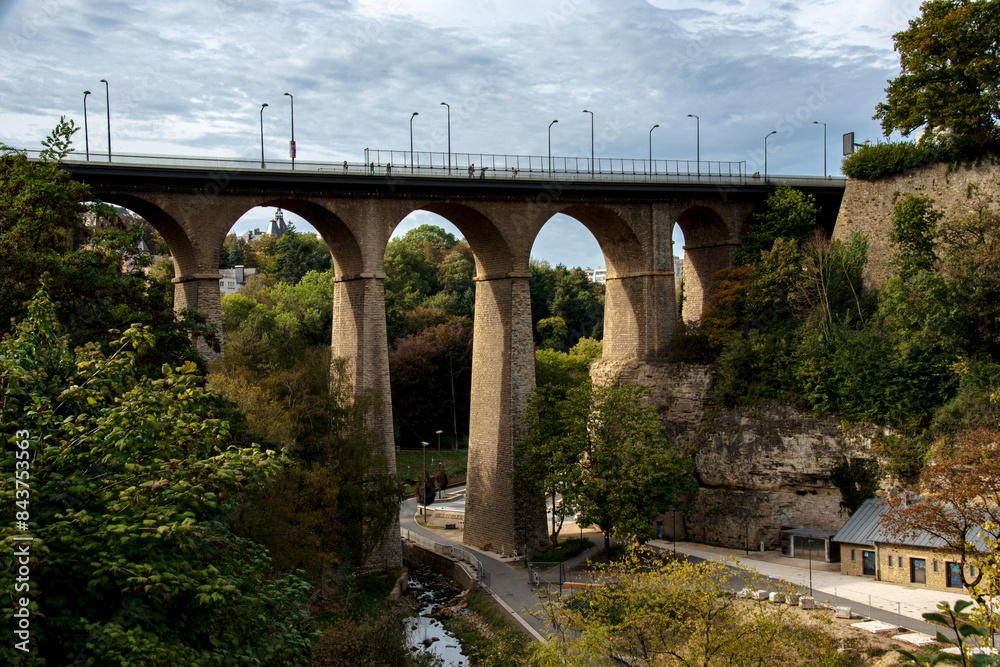 Fototapeta premium bridge over the river