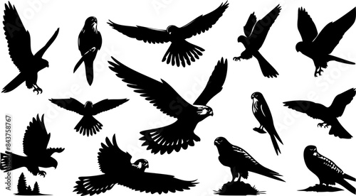 Kestrel Bird of Prey Silhouette Set