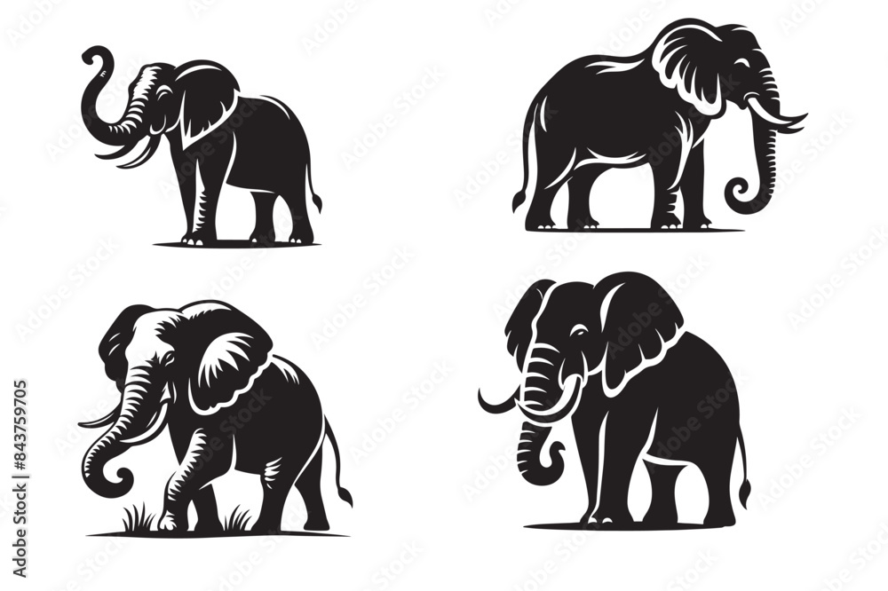Fototapeta premium elephant silhouette vector illustration