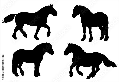 Vector illustration with the draft horse. Silhouette of heavy horses. Horse portrait.