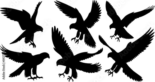 Peregrine Falcon Silhouette Illustrations, Birds of Prey