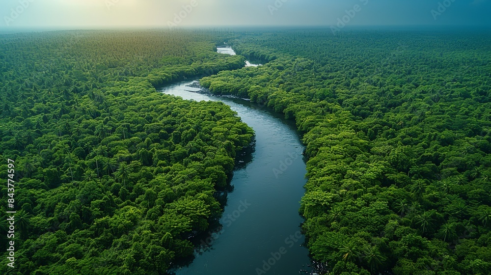 A tranquil forest with a river running through it, marred by the visible presence of industrial waste, highlighting the environmental consequences of factory activities and the need for sustainable A tranquil forest with a river running through it, marred by the visible presence of industrial waste, highlighting the environmental consequences of factory activities and the need for sustainable