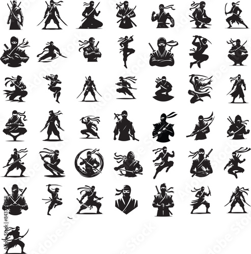 Ninja samurai fighter illustration