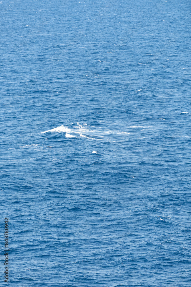 Fototapeta premium Beautiful photo of the sea waves