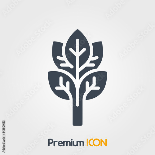 Collard greens Icon