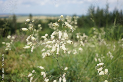 Wzgórza Kiełczyńskie, Polska