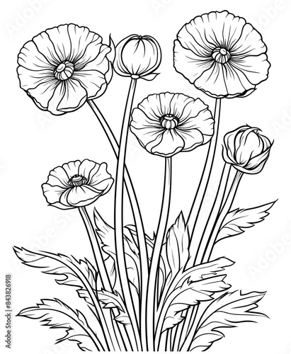poppy flower coloring page for adults