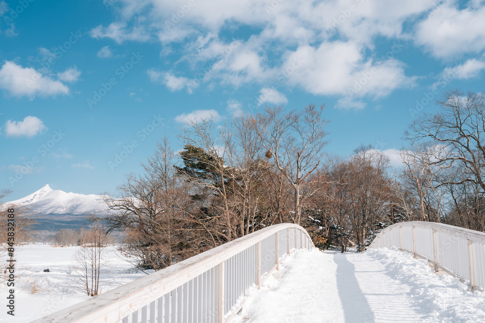 Winter snow lake bridge at Onuma Quasi-National Park in Hokkaido, Japan