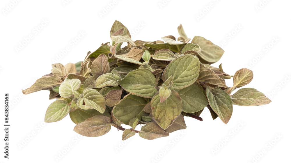 A cluster of green and brown leaves with a white center. The leaves are arranged in a random pattern and have a soft, velvety texture. A cluster of green and brown leaves with a white center. The leaves are arranged in a random pattern and have a soft, velvety texture.