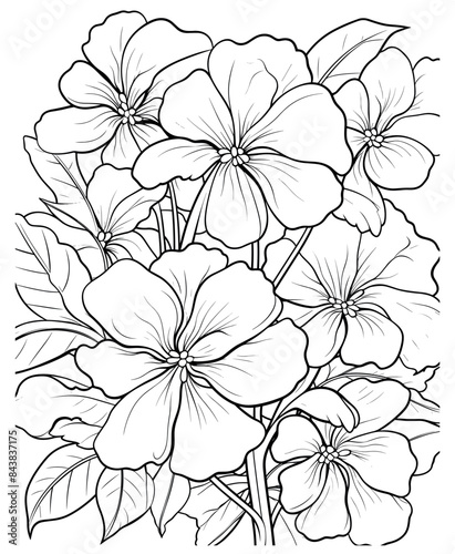 spring coloring pages for adults