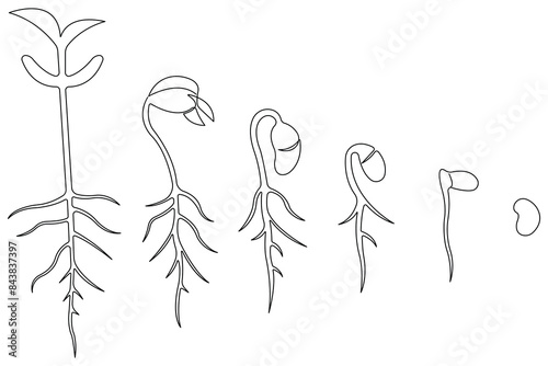 Plant growing continuous one line art drawing of tree plant outline vector illustration
