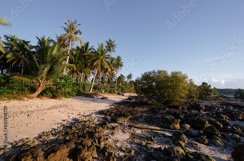 Day on the tropical beach with coral rocks and cocnut palm trees. photo