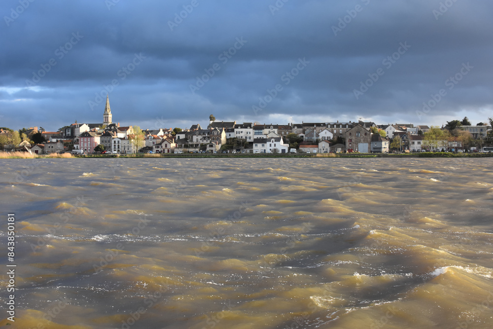Fototapeta premium the Loire and the Pellerin opposite