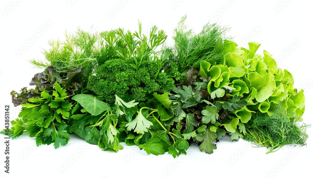 A picture showcasing an assortment of different greens against a white backdrop A picture showcasing an assortment of different greens against a white backdrop