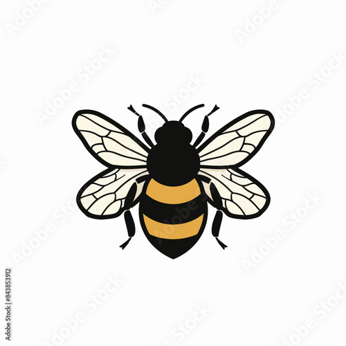 a black and yellow bee on a white background