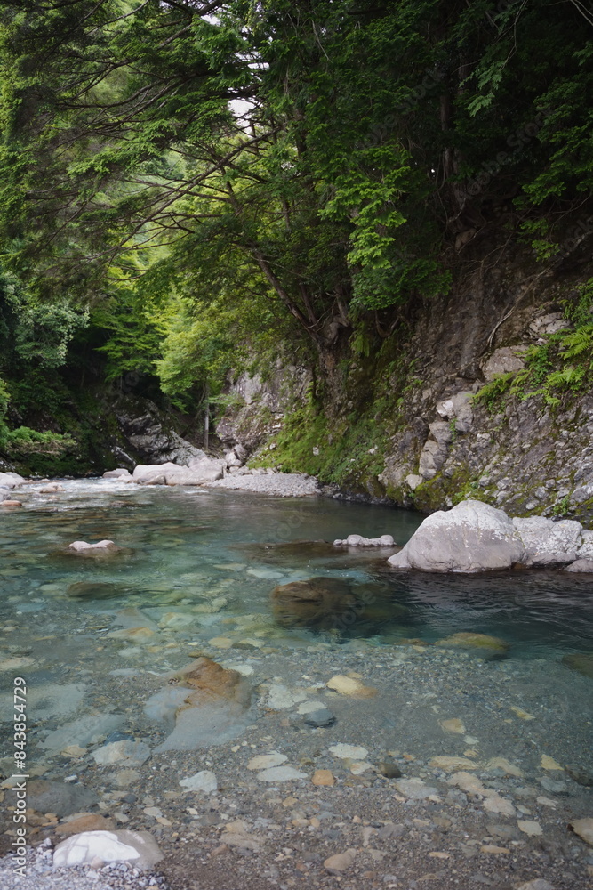 山中に流れる清らかな川。 山中に流れる清らかな川。