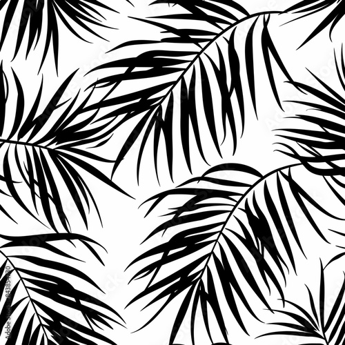 a black and white photo of palm leaves