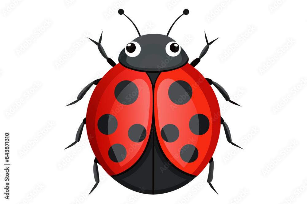 Ladybug vector artwork and illustration svg file Ladybug vector artwork and illustration svg file