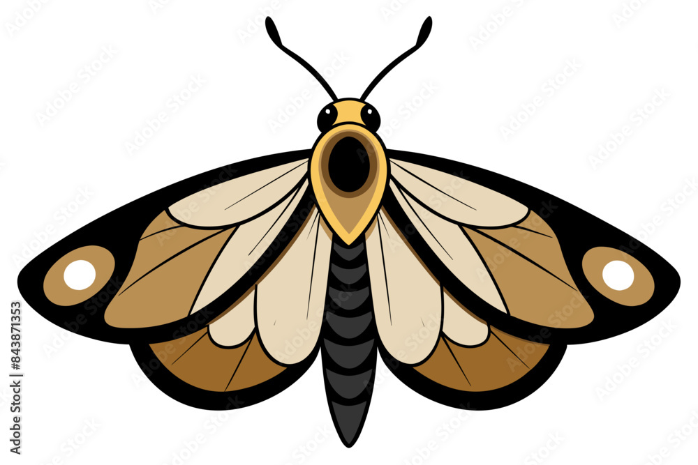 Moth vector artwork and illustration svg fine Moth vector artwork and illustration svg fine