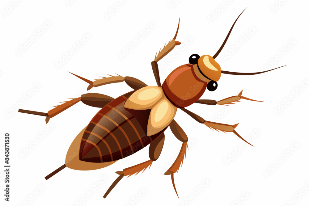 Termite vector artwork and illustration