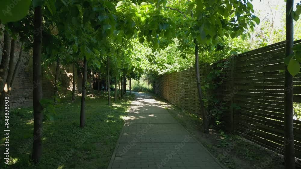 beautiful modern summer garden with stone walkway, sunbeams and rays of light beautiful modern summer garden with stone walkway, sunbeams and rays of light