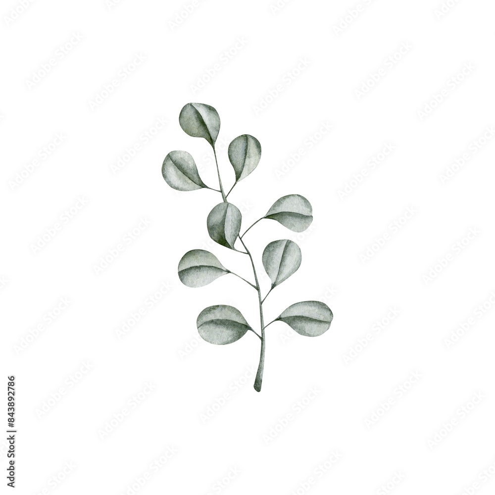 New Years Christmas hand drawn eucalyptus branch. Watercolor illustration for decorating and designing invitations, cards, banners, wrapping paper, wallpaper New Years Christmas hand drawn eucalyptus branch. Watercolor illustration for decorating and designing invitations, cards, banners, wrapping paper, wallpaper