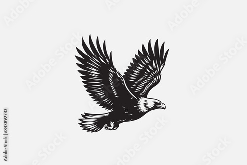 eagle in a white