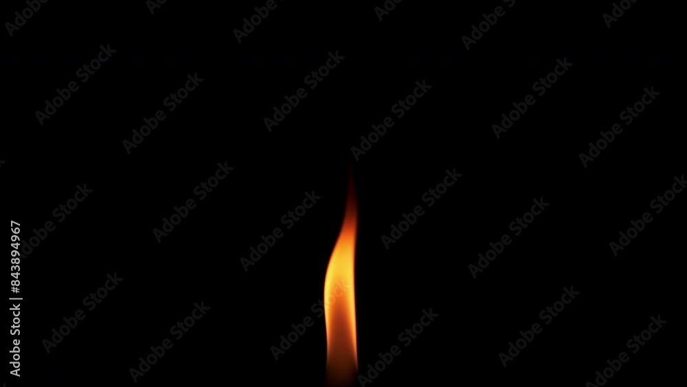 Red-hot flames are burning isolated on black background. Concept of particles, sparkles, flame and light. Red-hot flames are burning isolated on black background. Concept of particles, sparkles, flame and light.