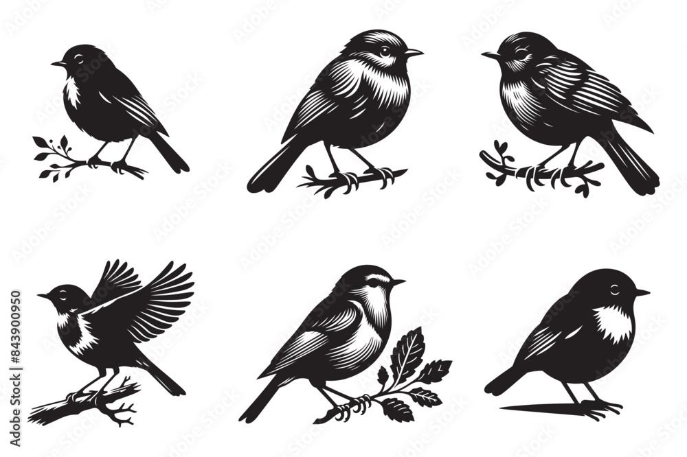 Fototapeta premium Robin Bird silhouette vector illustration set