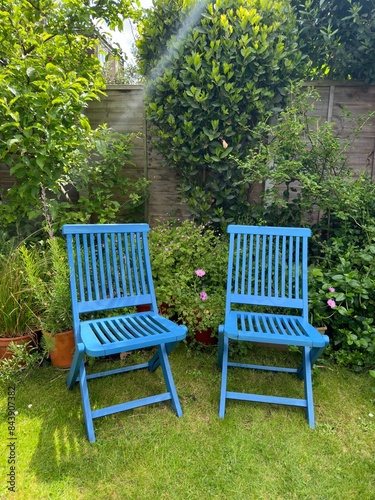 bench in the garden