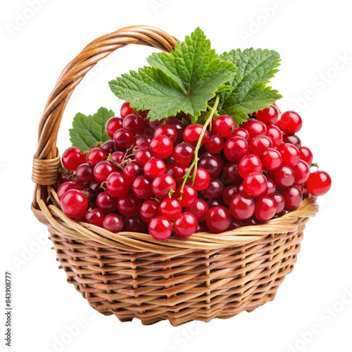 Red currants in a basket. isolated on transparent background