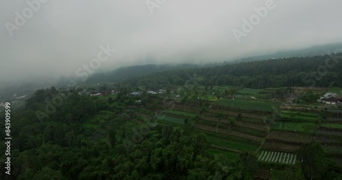 Aerial View of Rural Agricultural Fields in Mist and Fog photo