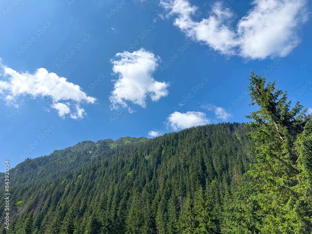 A mountain covered with trees under a blue sky filled with clouds A mountain covered with trees under a blue sky filled with clouds