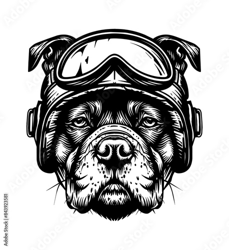 pitbull, wears retro pilot helmet engraving black and white outline