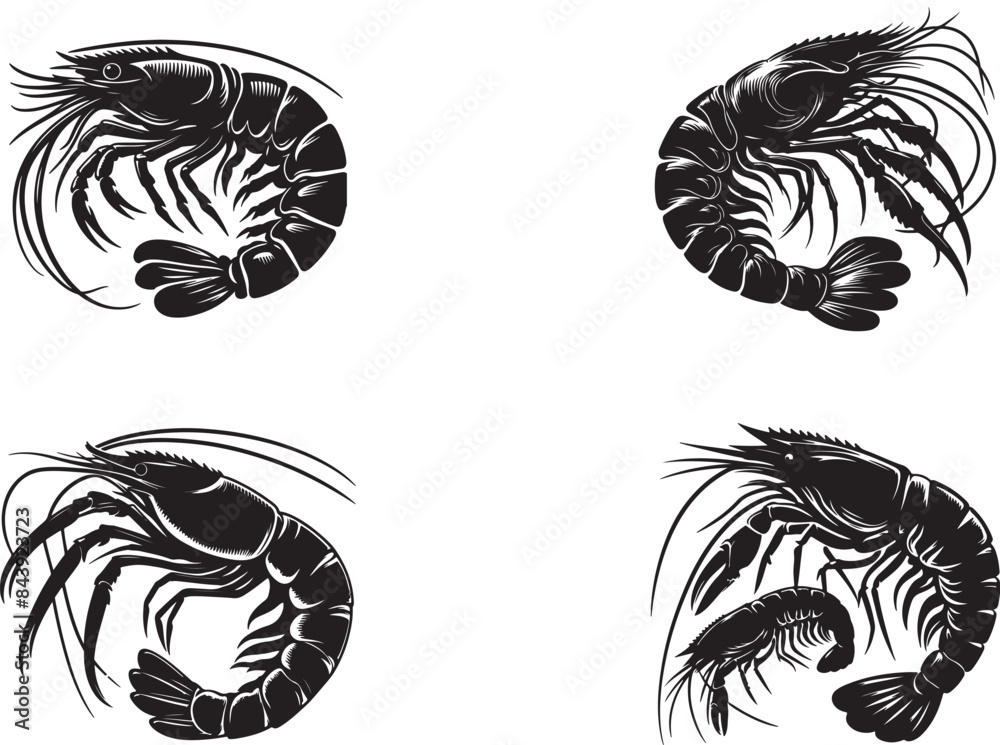 prawn silhouettes Vector Design prawn silhouettes Vector Design