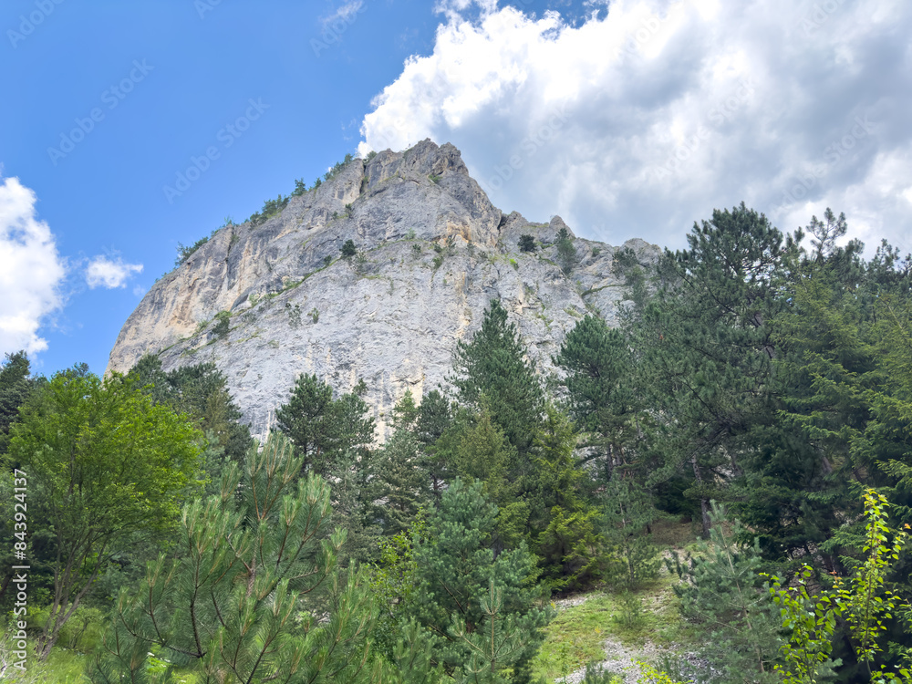 A beautiful mountain surrounded by tall trees under a cloudy sky A beautiful mountain surrounded by tall trees under a cloudy sky
