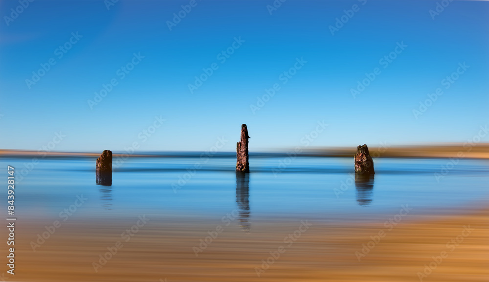 Naklejka premium Tree remnants of wood posts on the beach, captured with long exposure. 
