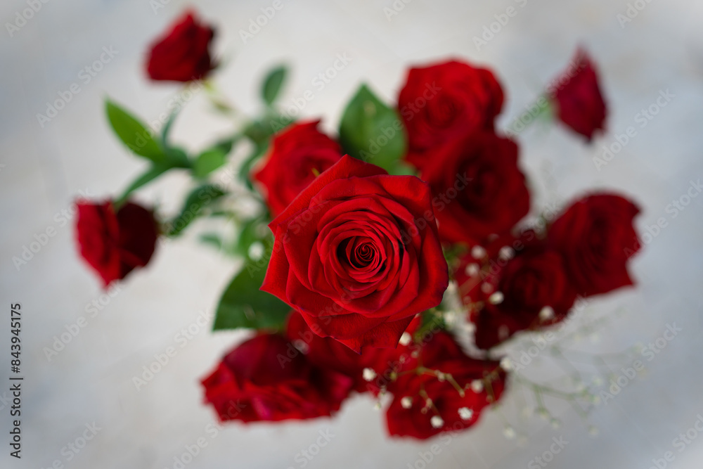 Red Roses Red Roses